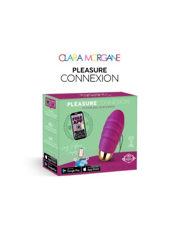 Pleasure connexion Violet - Oeuf vibrant